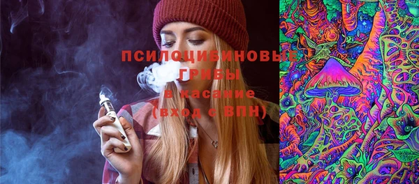 гашик Беломорск
