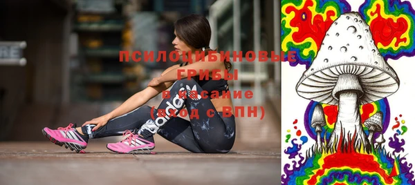 ПСИЛОЦИБИНОВЫЕ ГРИБЫ Снежногорск
