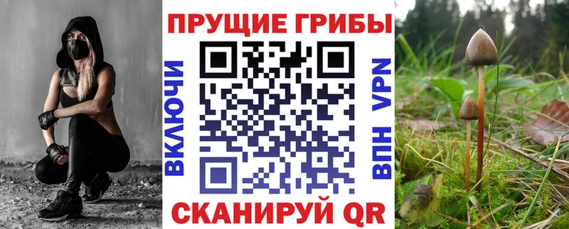 Псилоцибиновые грибы мицелий  МЕГА ТОР  Макаров 